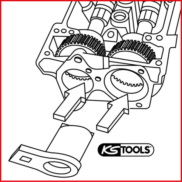 FOT_ANW_ALG_AUTO_400.2429.AW1_SALL_AING_V1