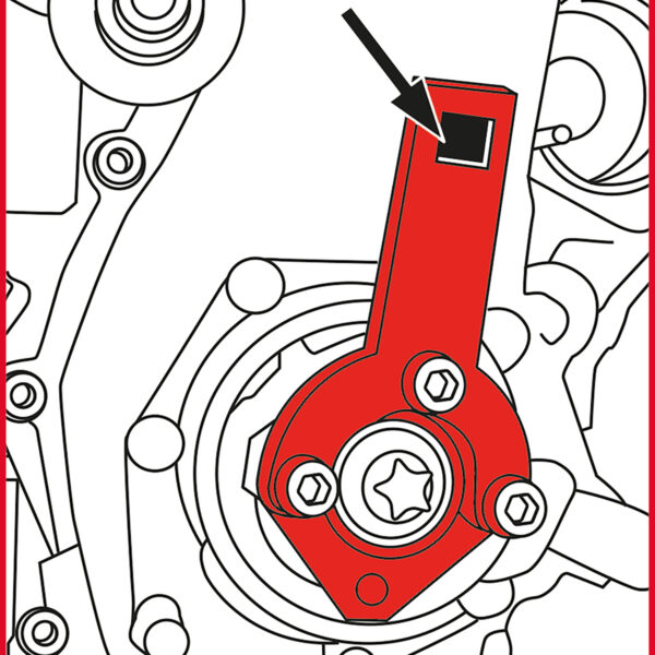 FOT_ANW_ALG_AUTO_400.2425.AW2_SALL_AING_V1