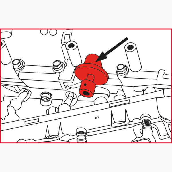 FOT_ANW_ALG_AUTO_400.2425.AW3_SALL_AING_V1