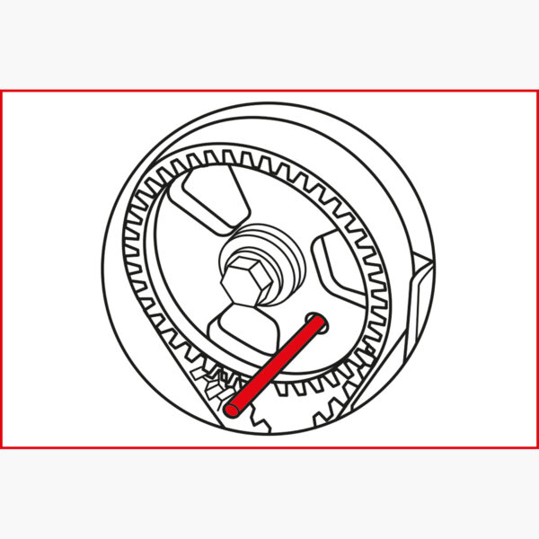 FOT_ANW_ALG_AUTO_400.1625.AW1_SALL_AING_V1