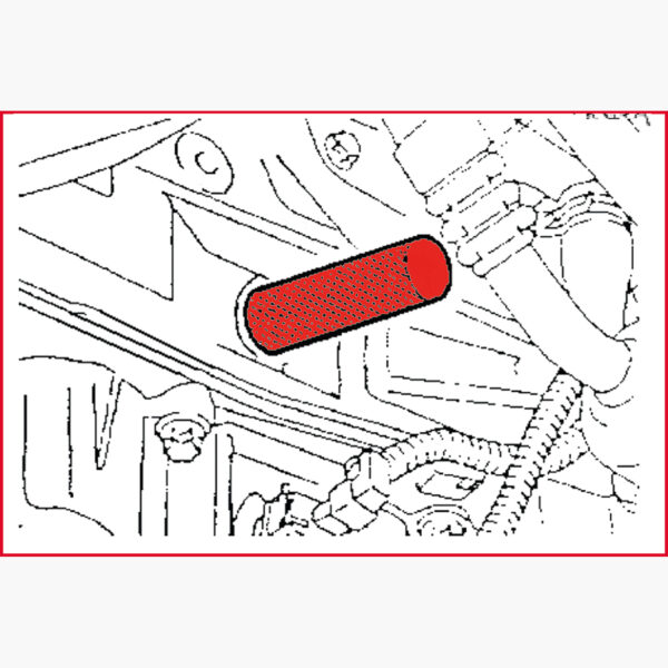 FOT_ANW_ALG_AUTO_400.1575.AW5_SALL_AING_V1