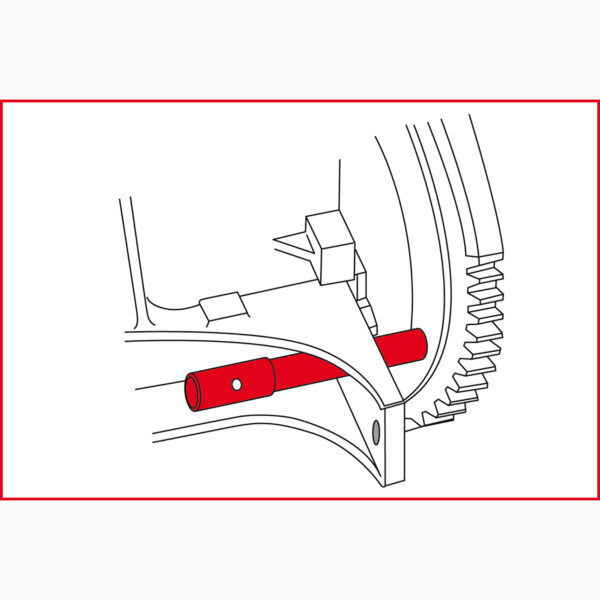 FOT_ANW_ALG_AUTO_400.0475.AW2_SALL_AING_V1