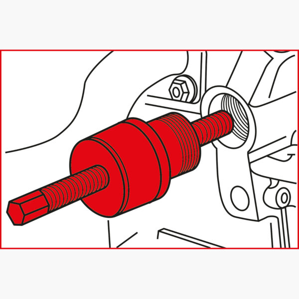 FOT_ANW_ALG_AUTO_400.0475.AW4_SALL_AING_V1