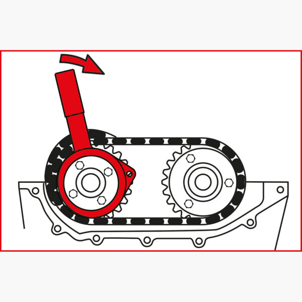 FOT_ANW_ALG_AUTO_400.0475.AW5_SALL_AING_V1