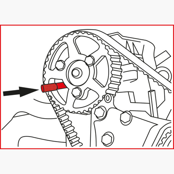FOT_ANW_ALG_AUTO_400.3150.AW2_SALL_AING_V1