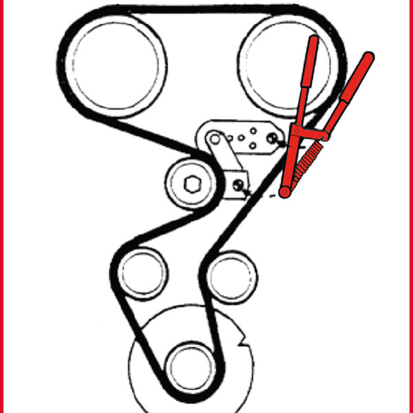 FOT_ANW_ALG_AUTO_400.1250.AW3_SALL_AING_V1