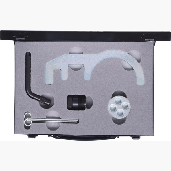 FOT_PRO_VAR_400.1225.TOP_SALL_AING_V1