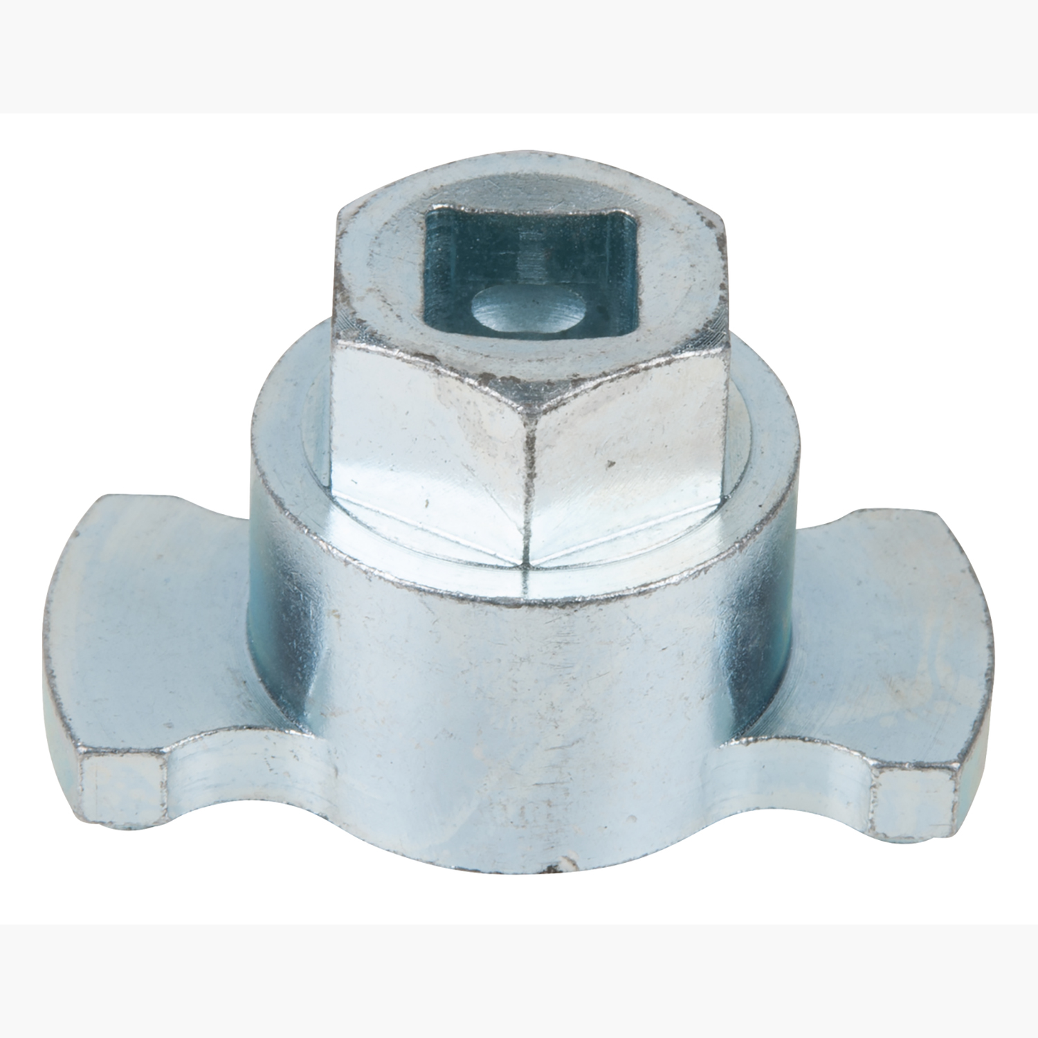 FOT_PRO_ALG_AUTO_400.1157_SALL_AING_V1