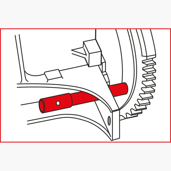 FOT_ANW_ALG_AUTO_400.1050.AW1_SALL_AING_V1