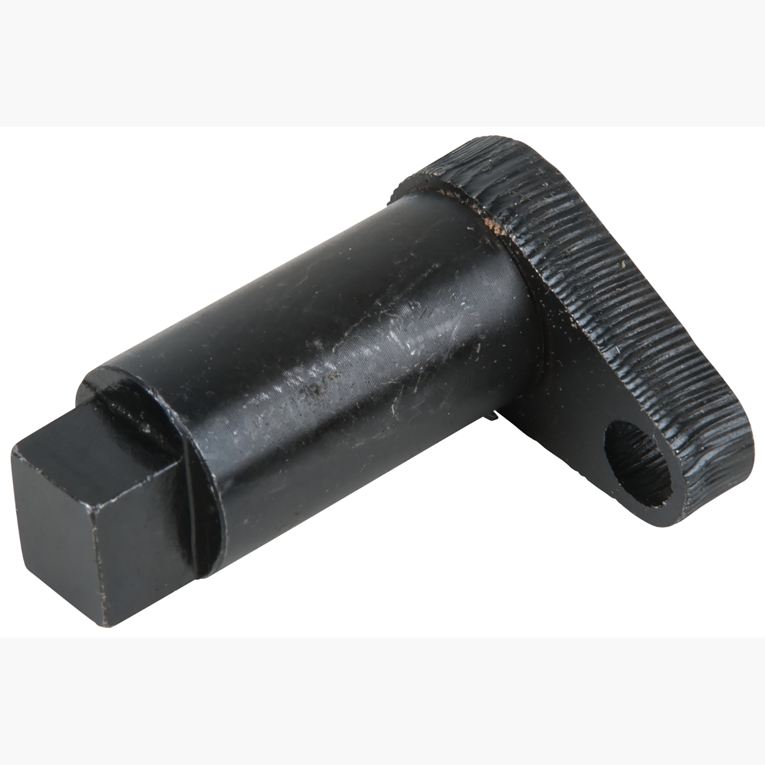 FOT_PRO_ALG_AUTO_400.0319_SALL_AING_V1