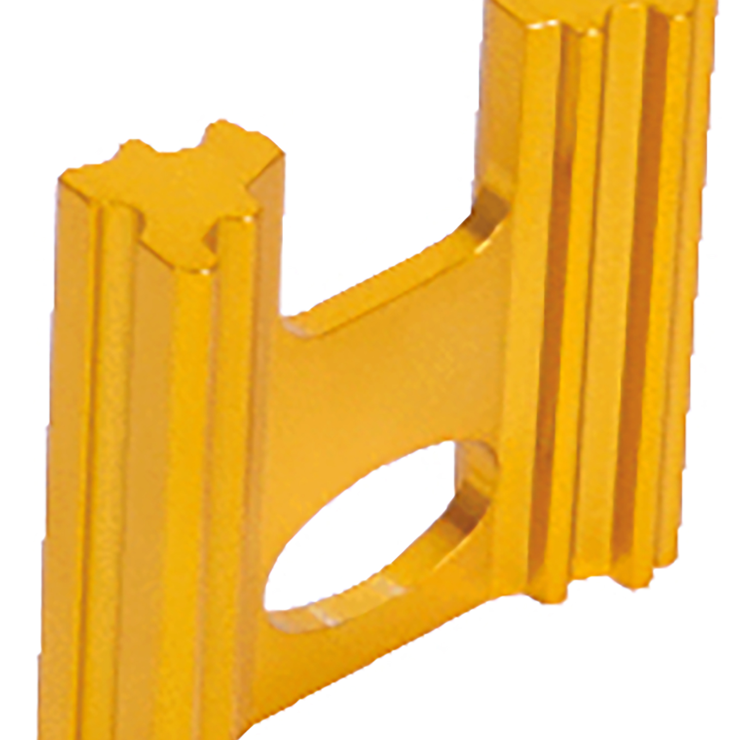 FOT_PRO_ALG_AUTO_400.0163_SALL_AING_V1