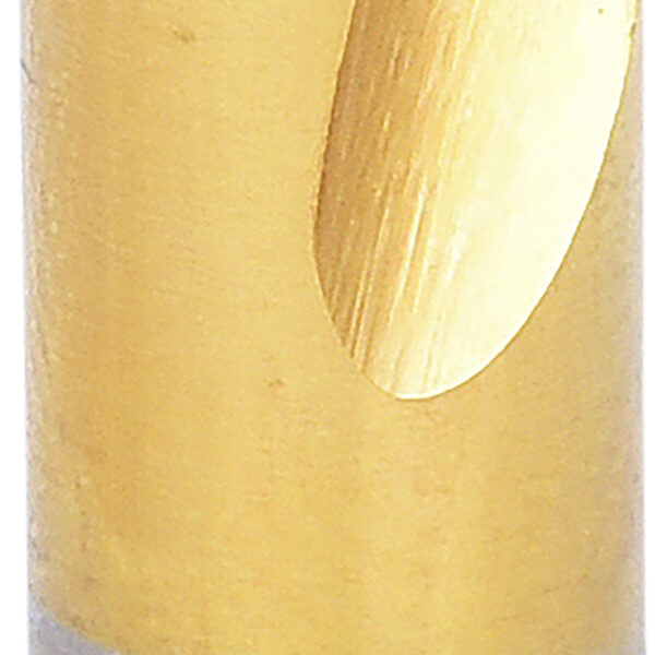 FOT_PRO_ALG_332.0808_SALL_AING_V1