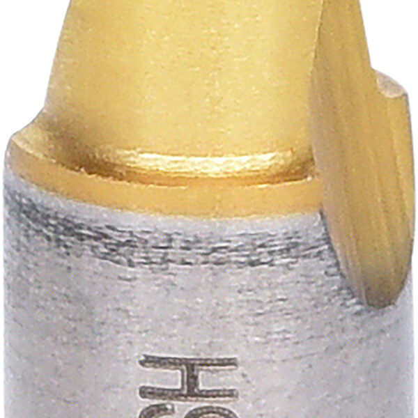 FOT_PRO_ALG_332.0508_SALL_AING_V1