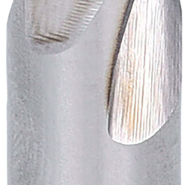 FOT_PRO_ALG_332.0110_SALL_AING_V1