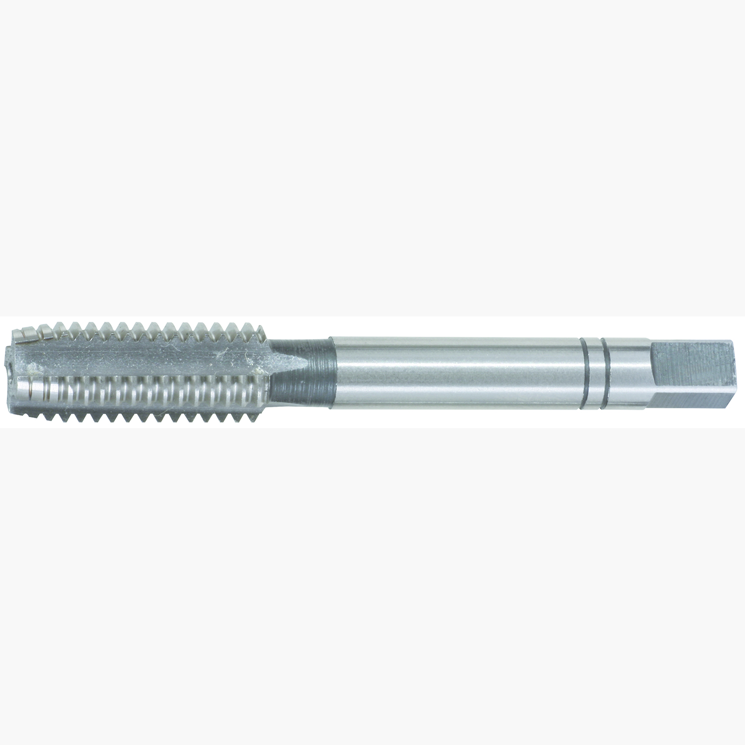 FOT_PRO_ALG_BOHR_331.03XX(21-40)_SALL_AING_V1