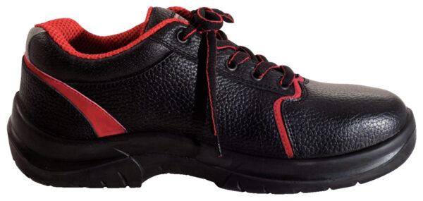 FOT_PRO_VAR_FAN_310.0600.2_SALL_AING_V1