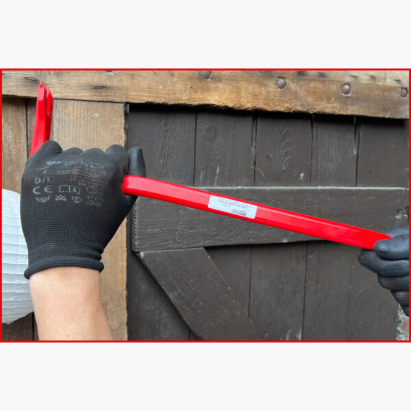 FOT_ANW_ALG_WZAL_310.0475.AW2_SALL_AING_V1