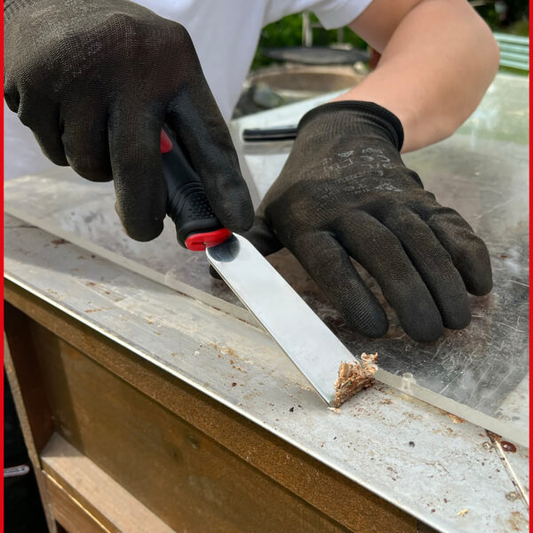 FOT_ANW_ALG_WZAL_310.0475.AW3_SALL_AING_V1