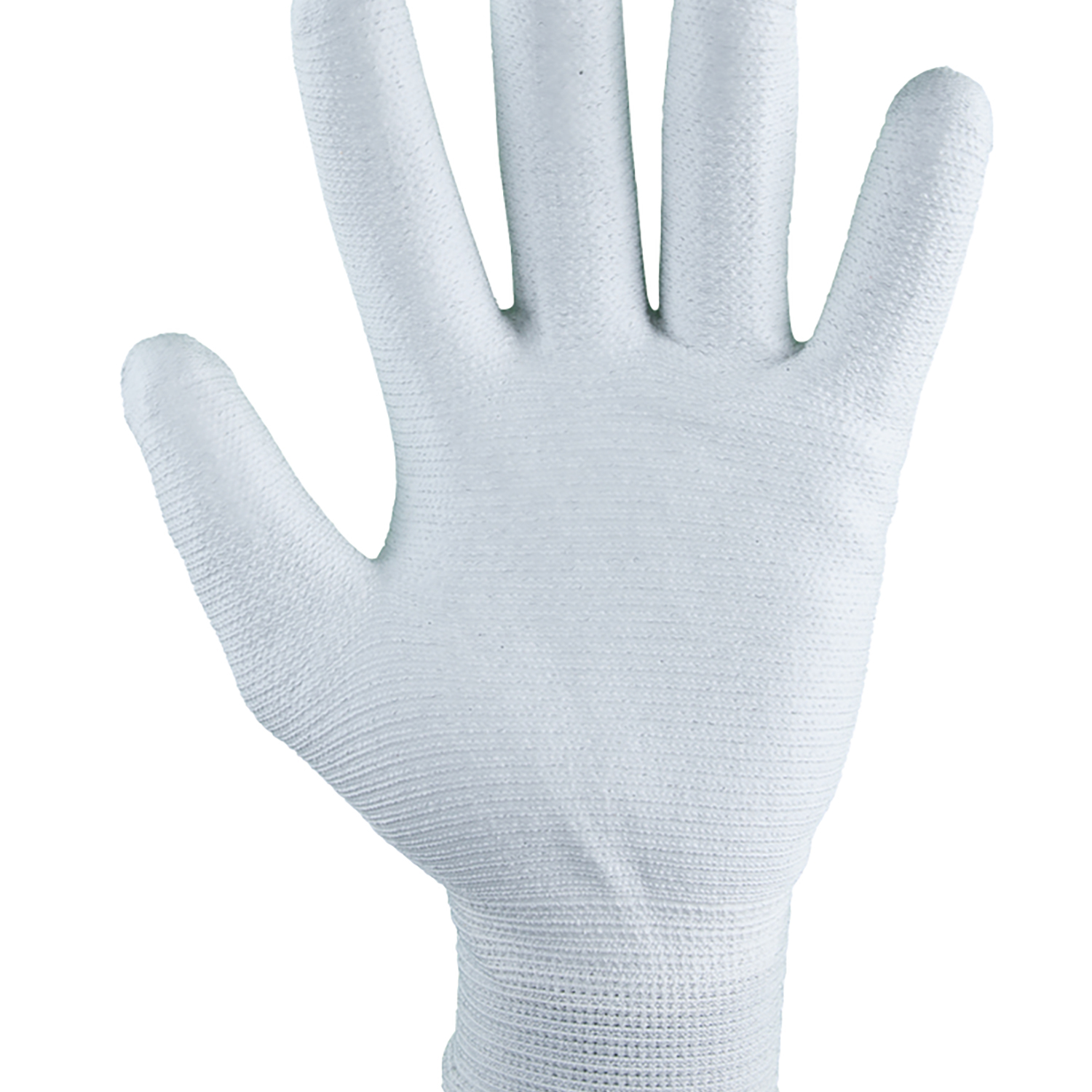 FOT_PRO_ALG_WZAL_310.042X(5-8)_SALL_AING_V1