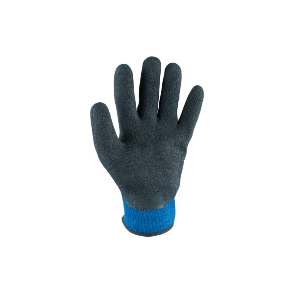 FOT_PRO_ALG_WZAL_310.041X(0-3)_SALL_AING_V1