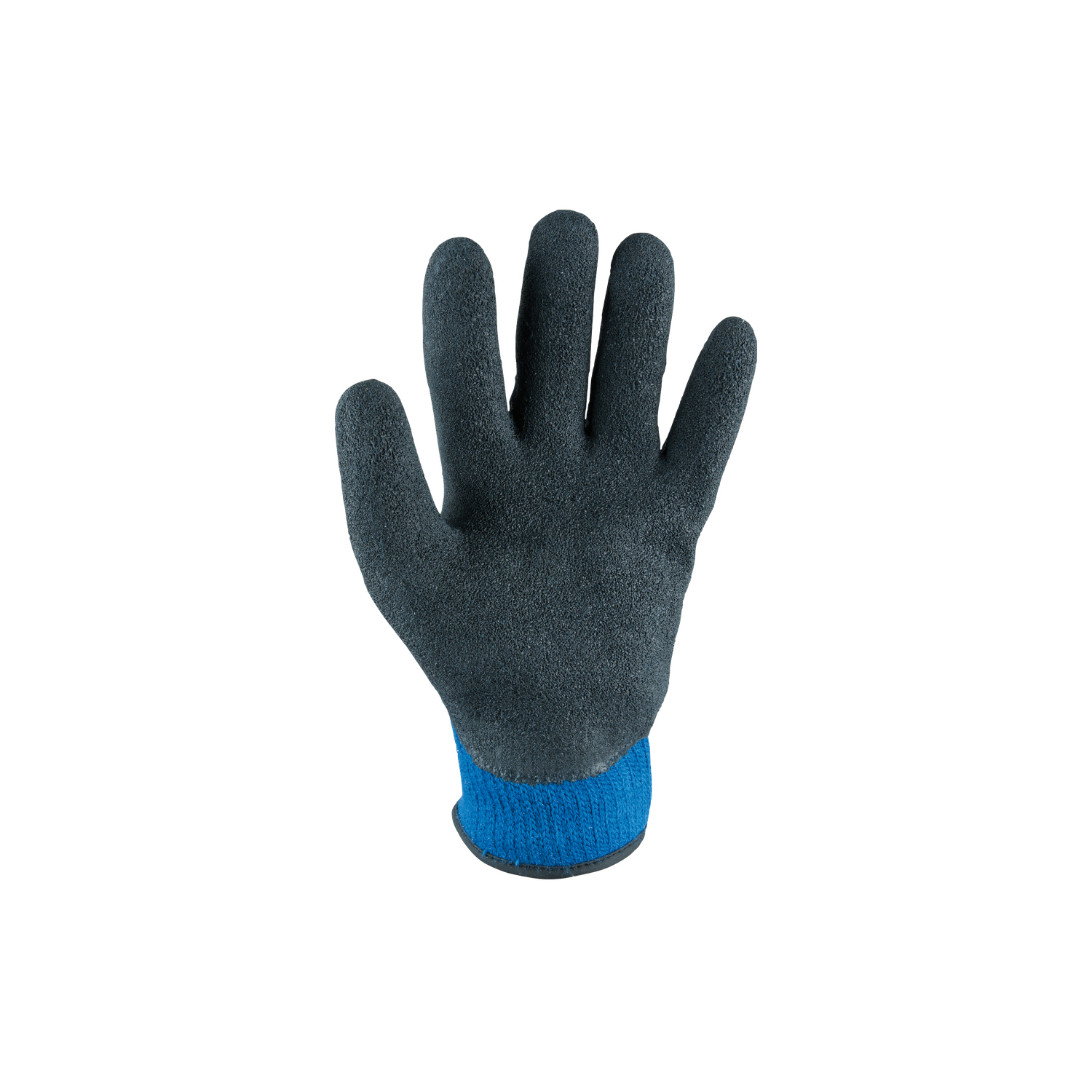 FOT_PRO_ALG_WZAL_310.041X(0-3)_SALL_AING_V1