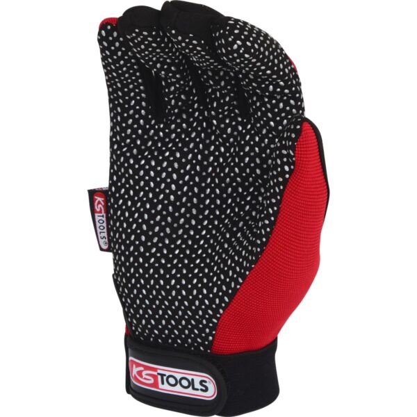 FOT_PRO_VAR_310.0350.2_SALL_AING_V1