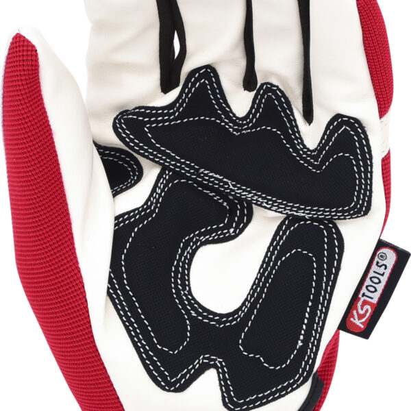 FOT_PRO_VAR_310.0255.2_SALL_AING_V1