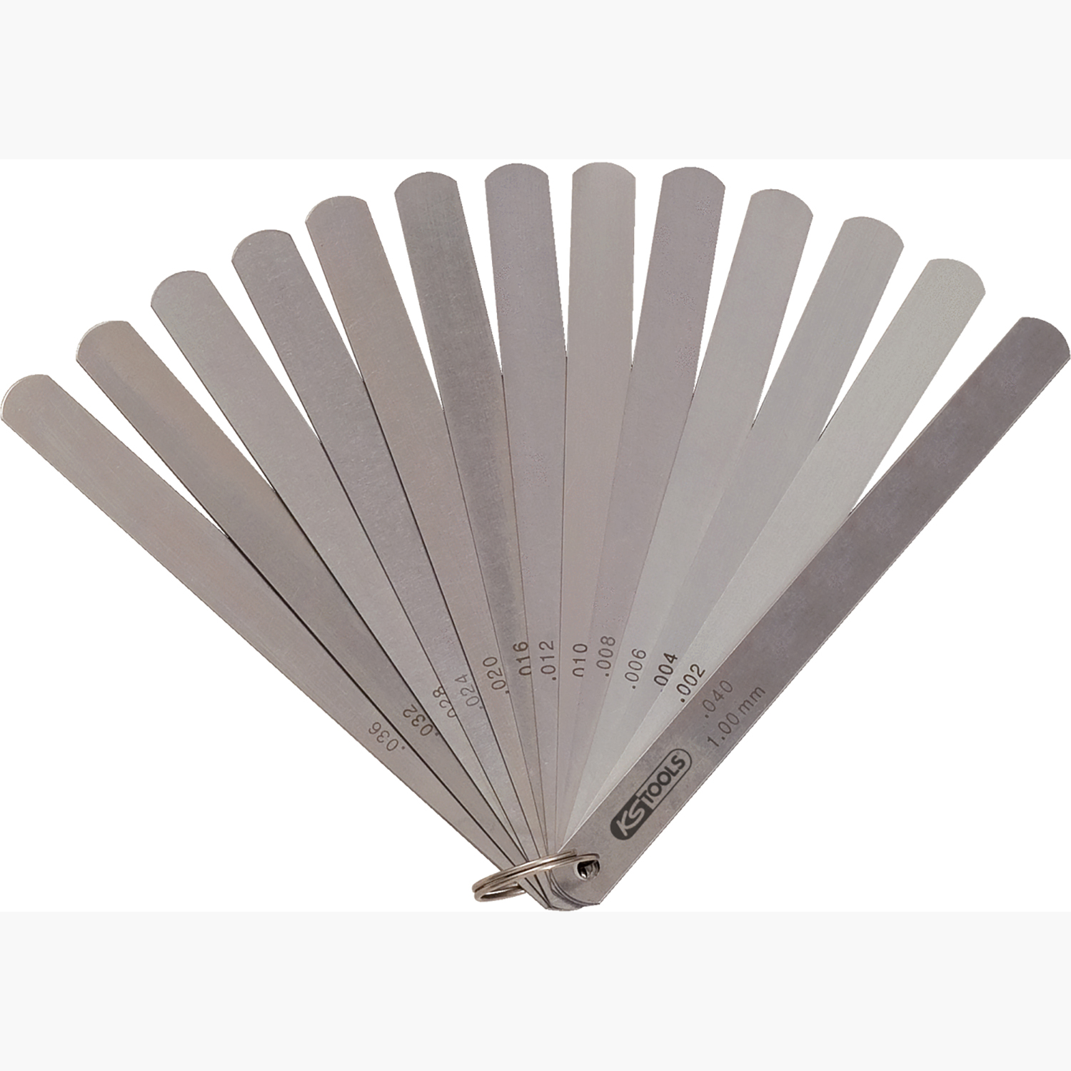 FOT_PRO_ALG_WZAL_300.061X(4-8)_SALL_AING_V1