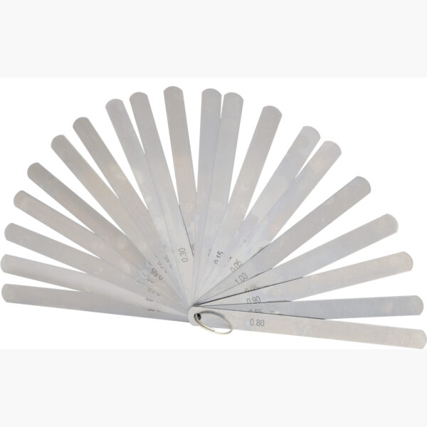 FOT_PRO_ALG_300.0616_SALL_AING_V1