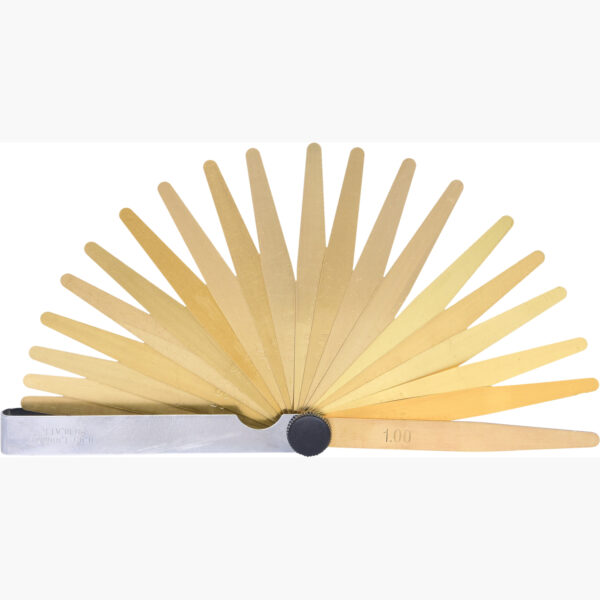 FOT_PRO_ALG_300.0613_SALL_AING_V1