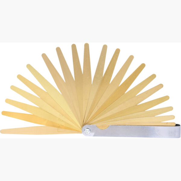 FOT_PRO_VAR_300.0613.2_SALL_AING_V1