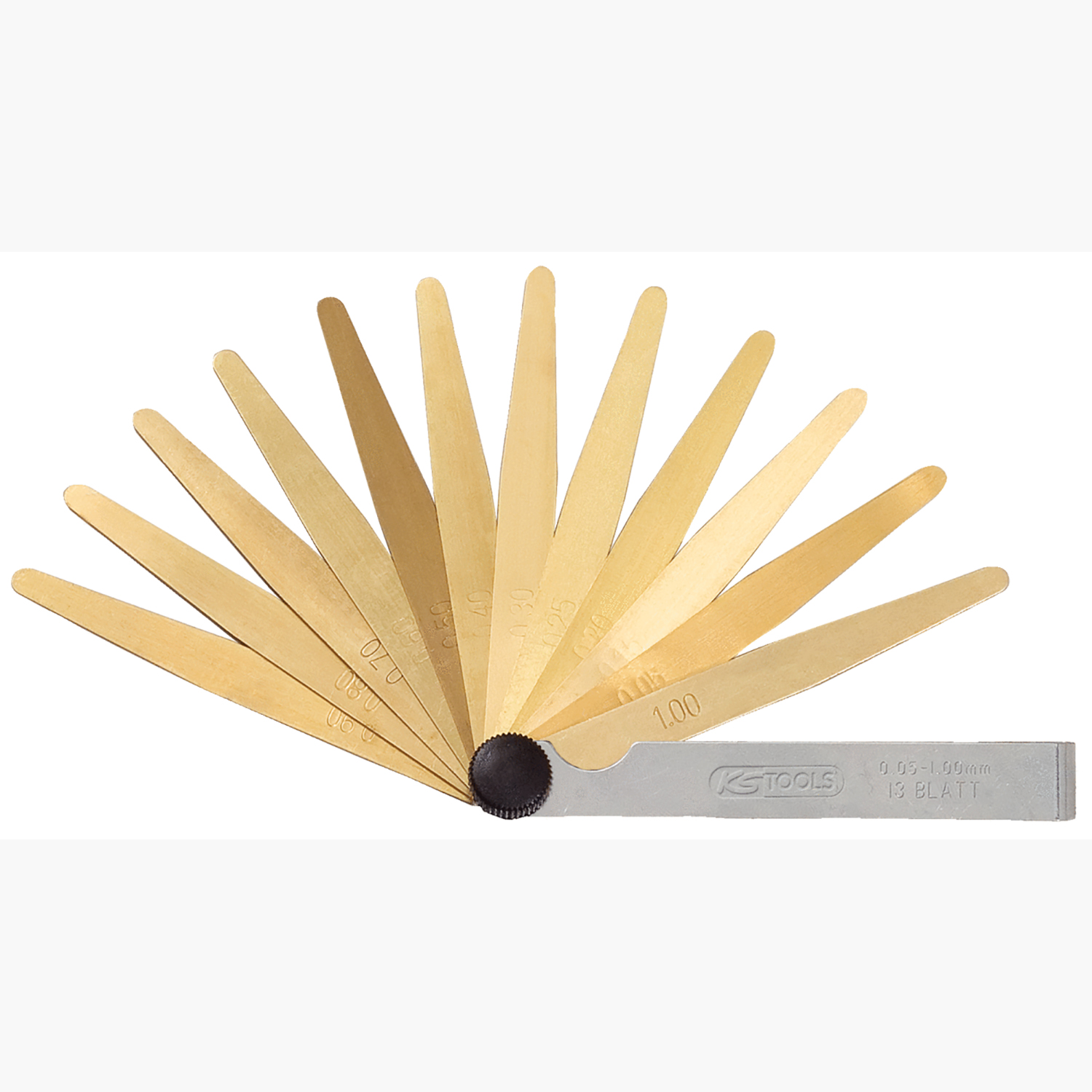 FOT_PRO_ALG_WZAL_300.061X(1-3).1_SALL_AING_V1