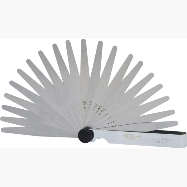 FOT_PRO_ALG_300.0600_SALL_AING_V1