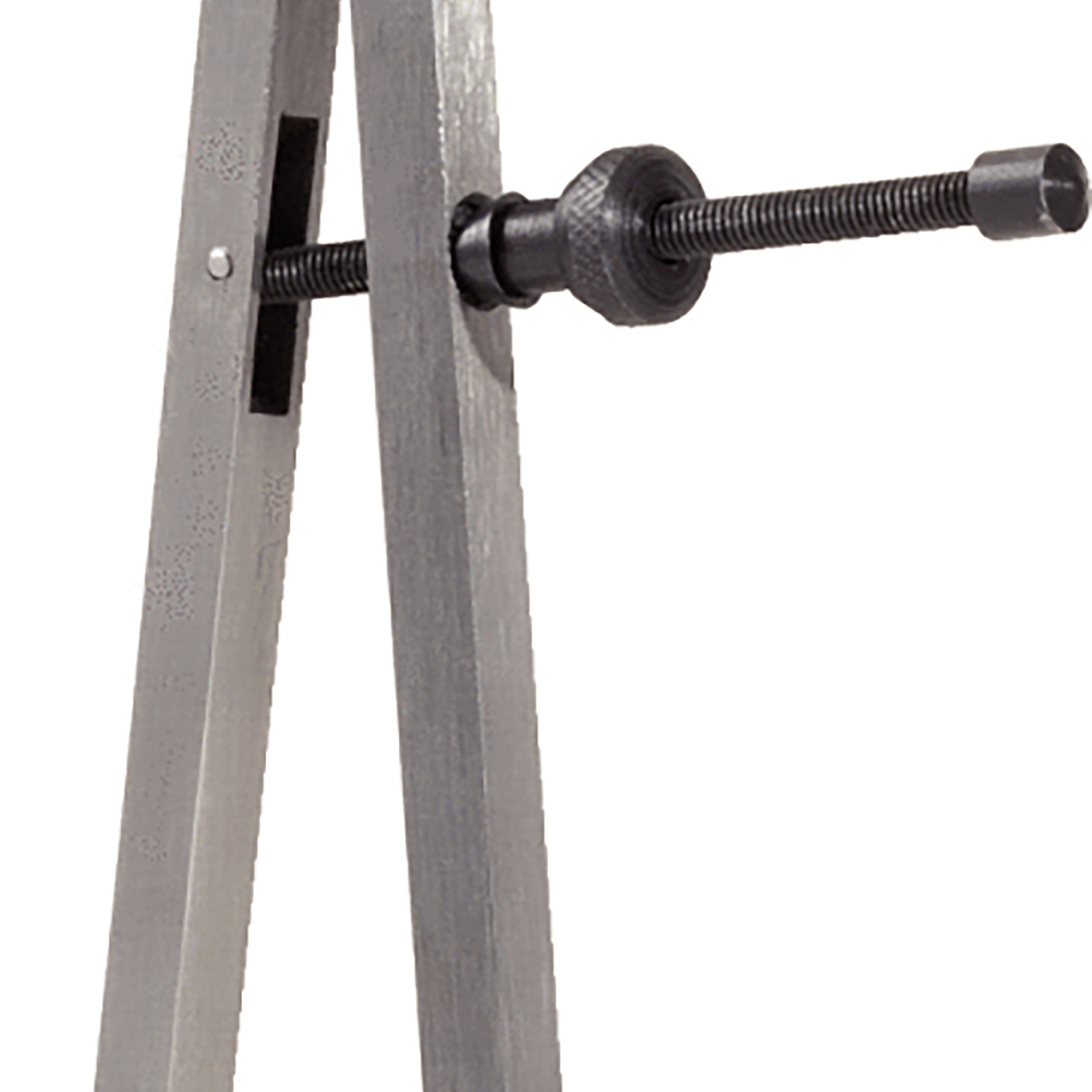 FOT_PRO_ALG_WZAL_300.04XX(29-34)_SALL_AING_V1