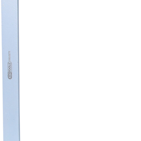 FOT_PRO_ALG_300.0275_SALL_AING_V1