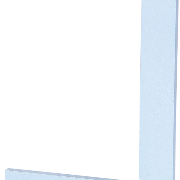 FOT_PRO_VAR_300.0271.2_SALL_AING_V1