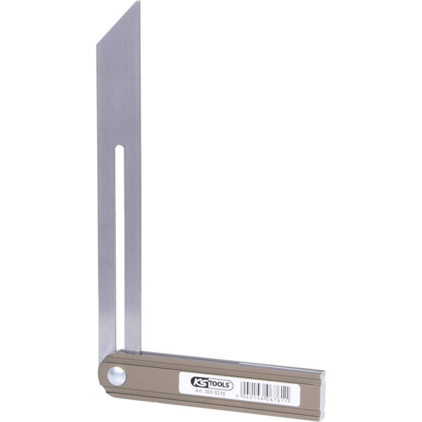 FOT_PRO_ALG_300.0230_SALL_AING_V1