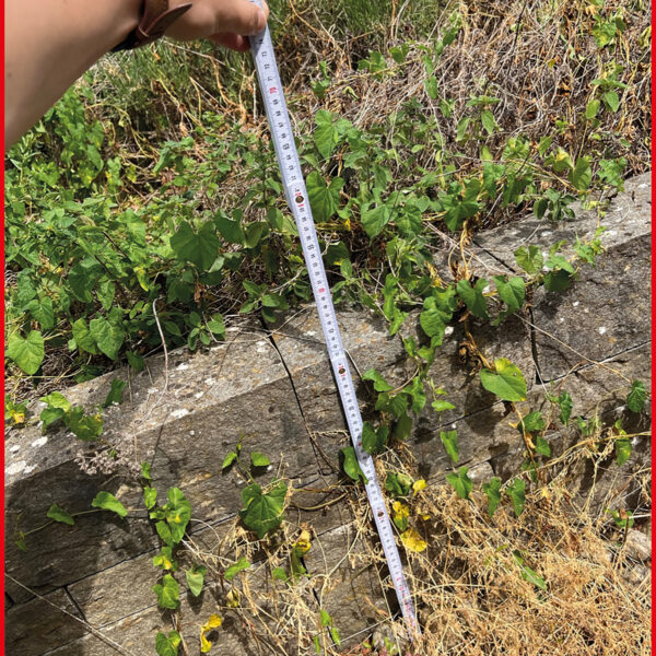 FOT_ANW_ALG_WZAL_300.0061.AW2_SALL_AING_V1