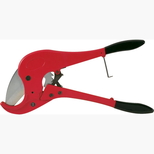 FOT_PRO_VAR_SCHESAE_222.0004.2_SALL_AING_V1