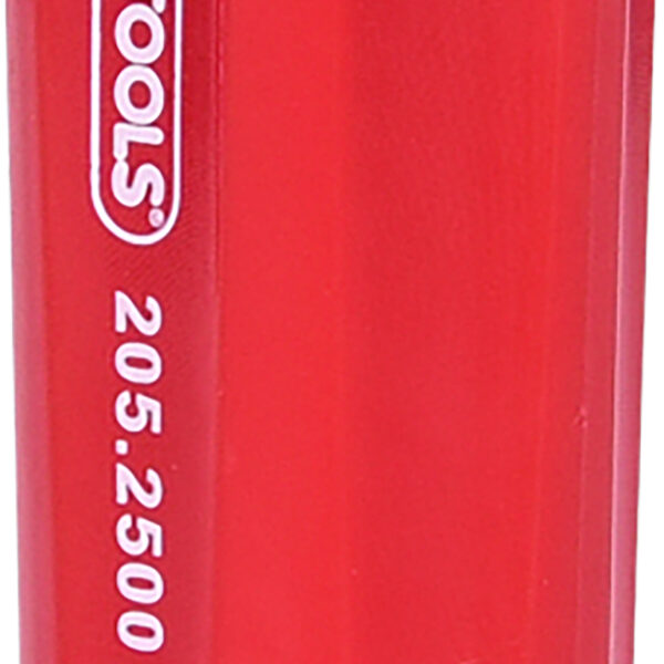 FOT_PRO_ALG_205.2500_SALL_AING_V1