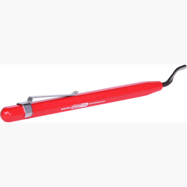 FOT_PRO_VAR_205.2020.2_SALL_AING_V1