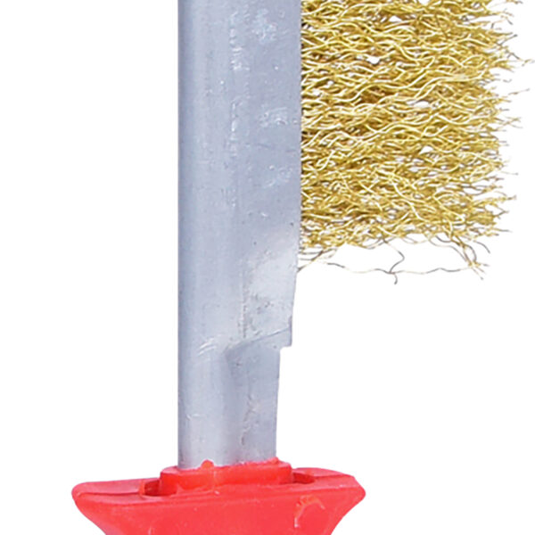 FOT_PRO_VAR_201.2302.2_SALL_AING_V1