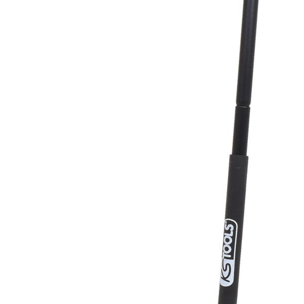 FOT_PRO_VAR_161.0365.2_SALL_AING_V1