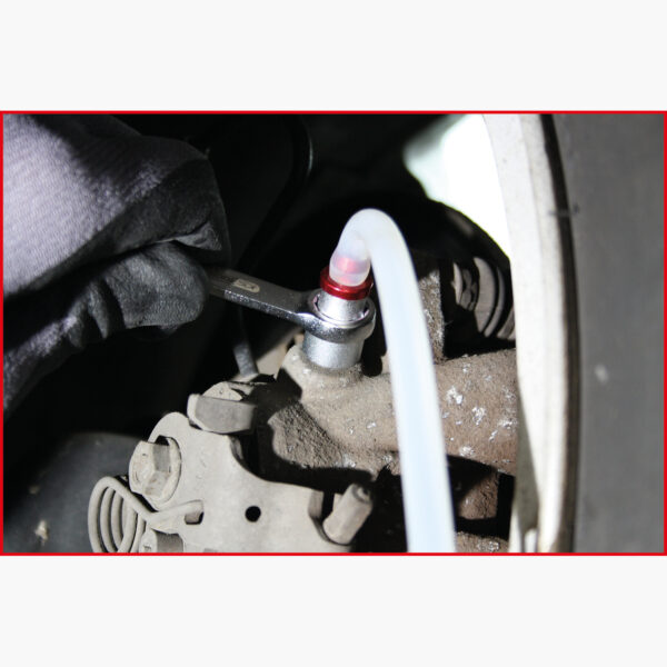 FOT_ANW_ALG_AUTO_160.0725.AW3_SALL_AING_V1