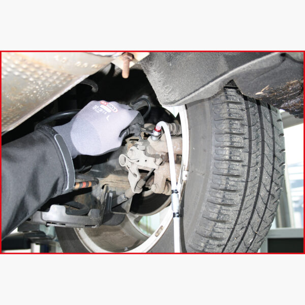 FOT_ANW_ALG_AUTO_160.0725.AW4_SALL_AING_V1