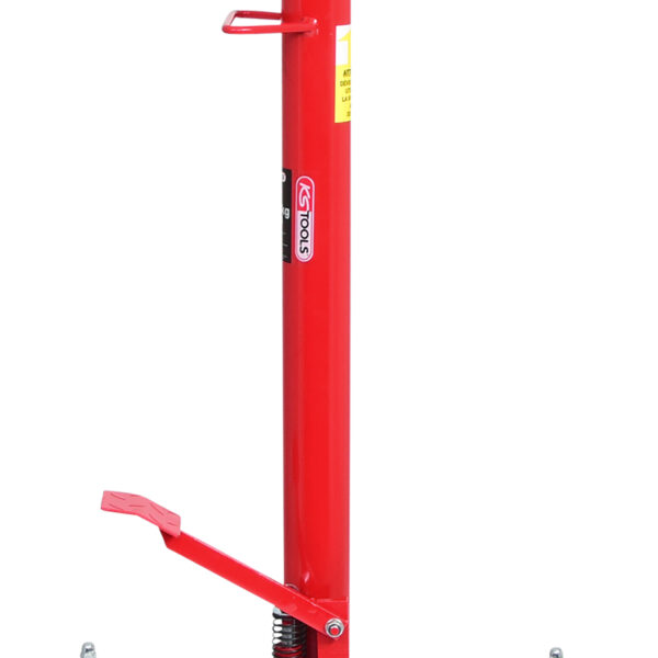 FOT_PRO_VAR_160.0329.2_SALL_AING_V1