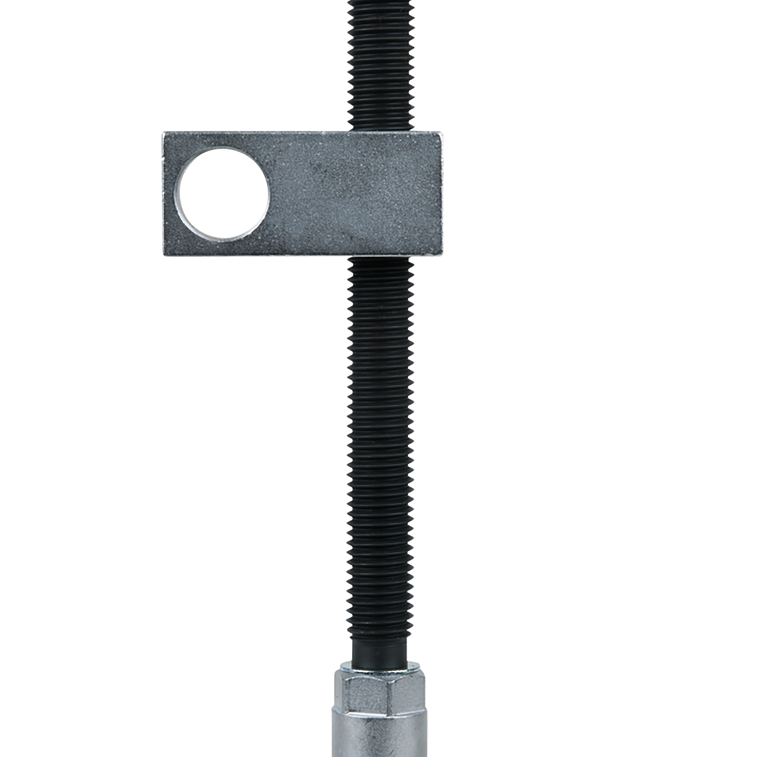 FOT_PRO_ALG_AUTO_160.0271_SALL_AING_V1