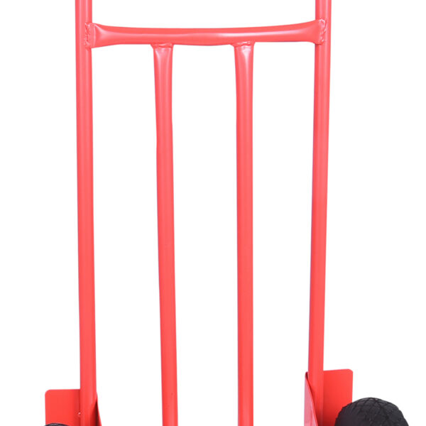 FOT_PRO_VAR_160.0225.2_SALL_AING_V1