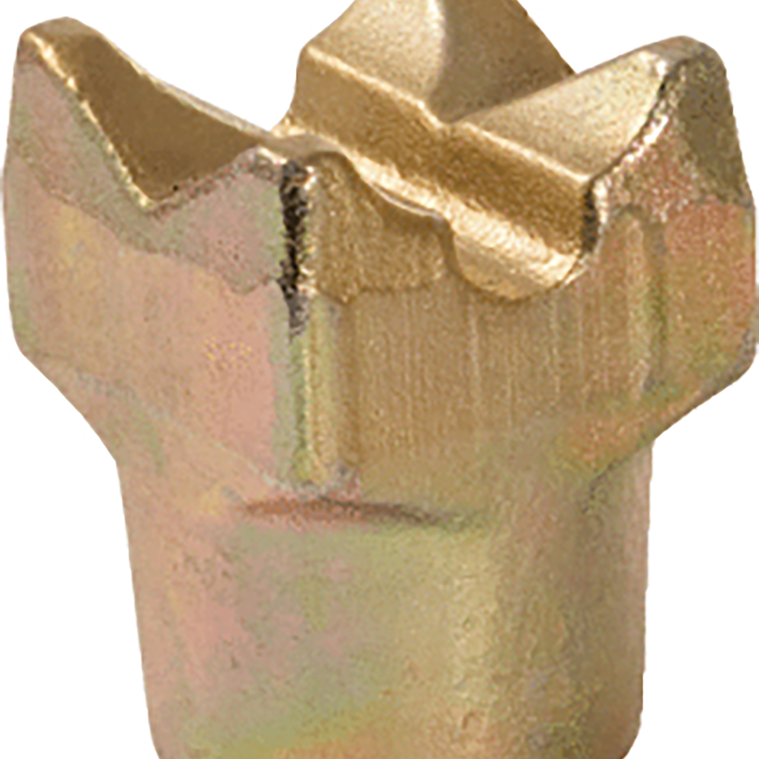 FOT_PRO_ALG_AUTO_160.0185_SALL_AING_V1