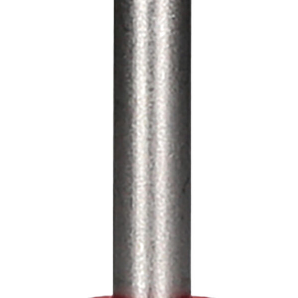 FOT_PRO_ALG_159.1211_SALL_AING_V1